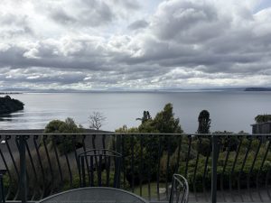 THE VIEW
