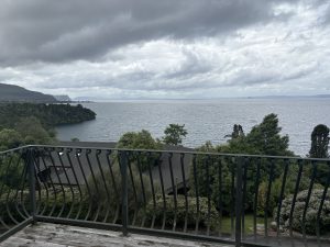 THE VIEW